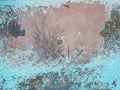 Reflection of trees in a puddle on a rusty metal painted sheet.