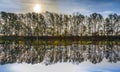 Reflection of trees in river tauber Royalty Free Stock Photo