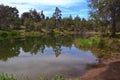 Lake And Reflection