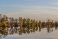 Reflection of trees on the South Carolina ICW at Thoroughfare Creek