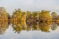 Reflection of trees on the South Carolina ICW at Thoroughfare Creek