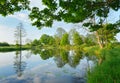 Reflection of trees in the water Royalty Free Stock Photo