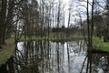 Reflection of trees