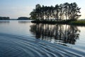 Reflection of trees in water with gentle wind waves Royalty Free Stock Photo