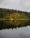 Reflection of trees in the water at Lake Matheson in New Zealand Royalty Free Stock Photo