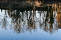 reflection of trees in water, photo as a background Royalty Free Stock Photo
