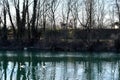 reflection of trees in water, photo as a background Royalty Free Stock Photo