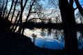 reflection of trees in water, photo as a background Royalty Free Stock Photo