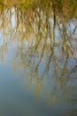 Reflection of trees in the water with rippled effect. Royalty Free Stock Photo