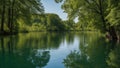 reflection of trees in the water A serene lake with gentle ripples on the surface. The water is clear and reflects the blue sky Royalty Free Stock Photo