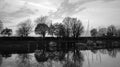 Reflection of trees in water in sunset at small harbor on Lake Constance in Hard near Bregenz in Austria in black and white Royalty Free Stock Photo