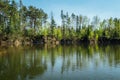 Reflection trees in water on swamped quarry, Czech republic Royalty Free Stock Photo