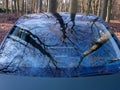 reflection of trees in windshield of blue car in dutch forest near utrecht