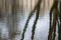 Reflection of the trunks trees in water ripples Royalty Free Stock Photo