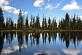 Reflection on Upper Gumboot Lake