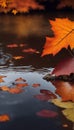 the reflection of vibrant autumn leaves in a lake in dark gloomy weather - landscape photography , nature wallpaper