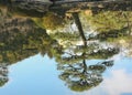 A reflection on the water of Japanese bonsai pile tree and sky background.