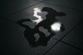 Reflection of a water puddle on dark tiled floor captures different shapes and patterns in the light Royalty Free Stock Photo