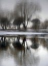 Reflection in water. Spring landscape of trees reflected in water. March. Melting ice and snow Royalty Free Stock Photo