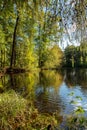 Reflection in the water of trees and bright foliage. natural landscape of early autumn in a quiet beautiful city park. Royalty Free Stock Photo