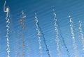 Reflection of yacht masts in rippled blue water Royalty Free Stock Photo