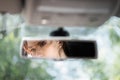 Reflection of young woman with frightened eyes covering her face with  hands in the car rear view mirror. Concept of an accident o Royalty Free Stock Photo