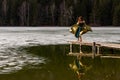 Reflection of a young woman with medieval long dress on the frozen lake in the winter season , forest in the background Royalty Free Stock Photo