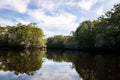 Reflections along the Black River Royalty Free Stock Photo