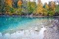 Reflections of autumn forest in clear water in a lake with stones on the shore Royalty Free Stock Photo