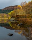 Reflections of Autumn in Loch Chon