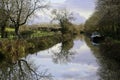 Reflections of winter trees in still waters