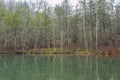 Reflections of bare trees on the lake Royalty Free Stock Photo