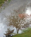 Reflections of bench , tree, cloudy sky and sun in a puddle with water