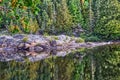 Reflections with a blur on the Current river, , Thunder Bay, ON, Canada Royalty Free Stock Photo