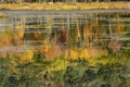 Reflections of bright fall foliage in Plymouth, New Hampshire. Royalty Free Stock Photo