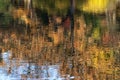 Reflections in changgyeong palace