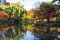 Reflections in changgyeong palace