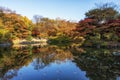 Reflections in changgyeong palace