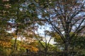 Reflections in changgyeong palace