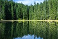 Reflections on the coniferous forest and blue sky with white clouds in a clear mountain lake water Royalty Free Stock Photo