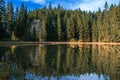 Reflections on the coniferous forest and blue sky with white clouds in a clear mountain lake water Royalty Free Stock Photo