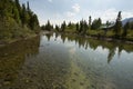 Reflections on Cottonwood Creek, near Jenny Lake, Jackson Hole, Royalty Free Stock Photo