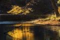 Reflections on dark water of yellow branch, Mansfield Hollow, Co