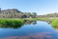 reflections at dunns swamp, or ganguddy- a beautiful, serene waterway in wollemi national park