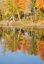 Reflections of fall