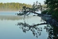 Reflections on a Foggy Wilderness Lake Royalty Free Stock Photo