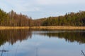 Reflections in a forest lake in early spring Royalty Free Stock Photo