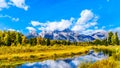 Reflections of the Grand Tetons Peaks in the waters of the Snake River at Schwabacher Landing Royalty Free Stock Photo