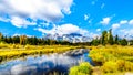 Reflections of the Grand Tetons Peaks in the waters of the Snake River at Schwabacher Landing Royalty Free Stock Photo