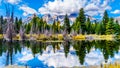 Reflections of the Grand Tetons Peaks in the waters of the Snake River at Schwabacher Landing Royalty Free Stock Photo